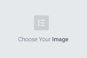 Picture of Disruptiva