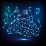 neurociencia2