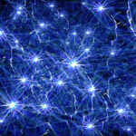 neuronas