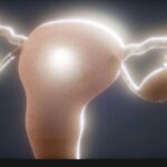 cervix