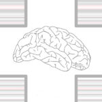 Neurociencia2022a