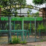 zoo