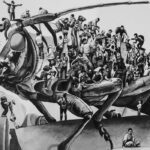 Escarabajo migración