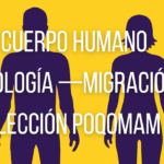 cuerpo humano
