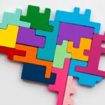 Brain shape made from wooden puzzle blocks. Locical thinking side of the brain.