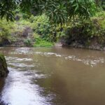 Río Sensunapán