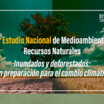 arte encuesta medio ambiente