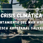 portada pescadores
