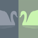 cisnes
