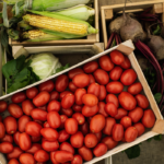 verduras agricultura