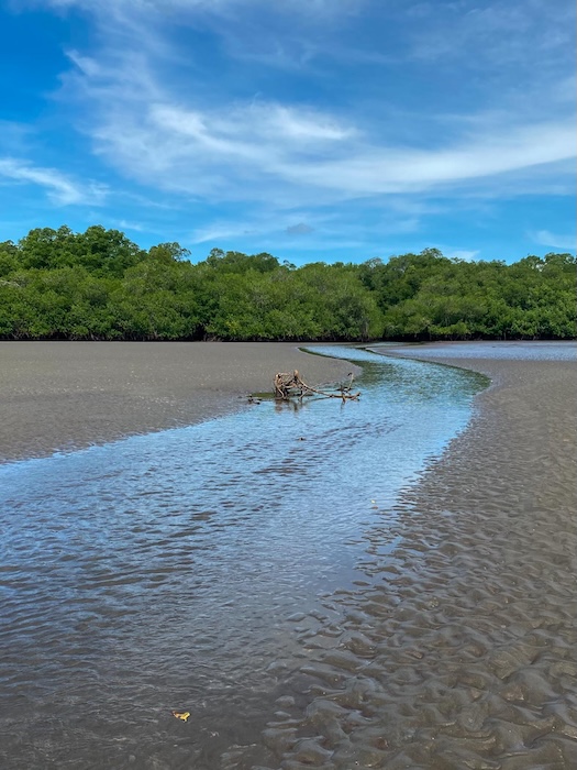 Estero de Intipuca, El Salvador. Fotografías por: Johanna Segovia. 