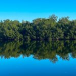 Estero de Jaltepeque_El Salvador